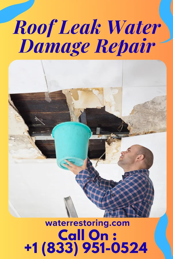 Roof Leak Water Damage Repair in Imboden, AR