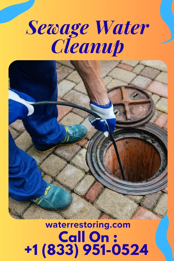Sewage Water Cleanup in Imboden, AR